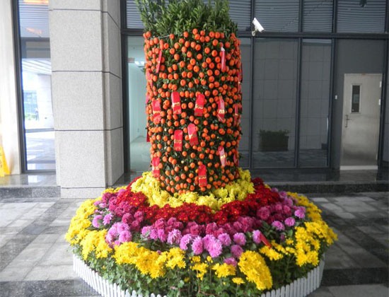 花海花卉穴盘苗 花海花卉穴盘苗